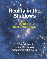 Reality In The Shadows (Or) What The Heck'S The Higgs?