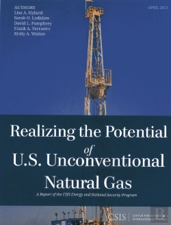Bertrand.pt - Realizing The Potential Of U.S. Unconventional Natural Gas