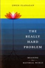 Really Hard Problem