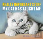 Really Important Stuff My Cat Has Taught Me