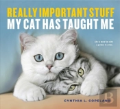 Really Important Stuff My Cat Has Taught Me