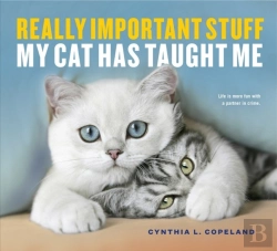 Bertrand.pt - Really Important Stuff My Cat Has Taught Me