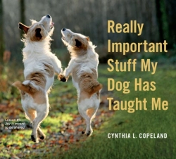 Bertrand.pt - Really Important Stuff My Dog Has Taught Me