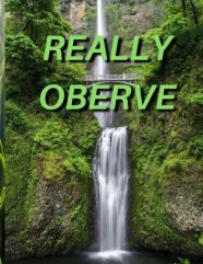 Really Oberve