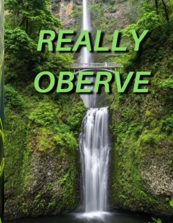 Bertrand.pt - Really Oberve