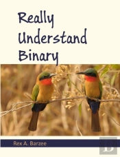 Really Understand Binary