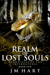 Realm Of Lost Souls
