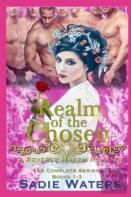 Realm Of The Chosen