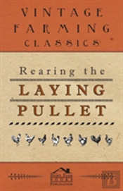 Rearing The Laying Pullet