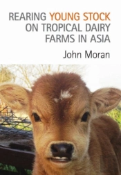 Rearing Young Stock On Tropical Dairy Farms In Asia
