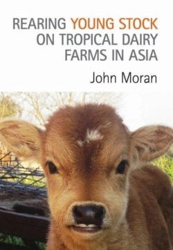 Bertrand.pt - Rearing Young Stock On Tropical Dairy Farms In Asia