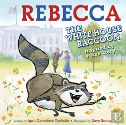 Bertrand.pt - Rebecca The White House Raccoon