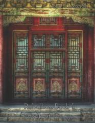 Rebellion Book I