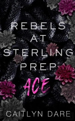 Bertrand.pt - Rebels At Sterling Prep
