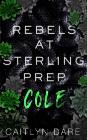 Rebels At Sterling Prep