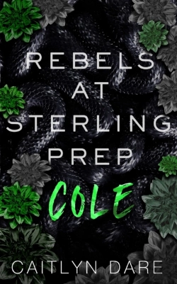 Bertrand.pt - Rebels At Sterling Prep
