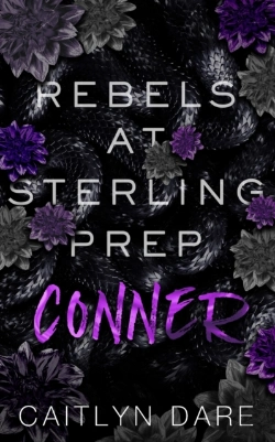 Bertrand.pt - Rebels At Sterling Prep