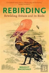 Rebirding