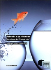 Rebondir Et Se Reinventer