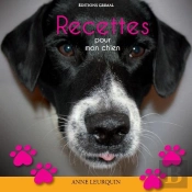Recettes Pour Mon Chien