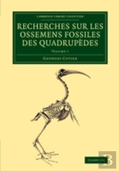 Recherches Sur Les Ossemens Fossiles Des Quadrupedes
