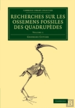 Bertrand.pt - Recherches Sur Les Ossemens Fossiles Des Quadrupedes