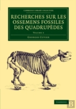 Bertrand.pt - Recherches Sur Les Ossemens Fossiles Des Quadrupedes