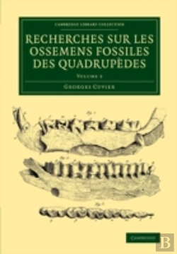 Bertrand.pt - Recherches Sur Les Ossemens Fossiles Des Quadrupedes