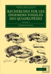 Recherches Sur Les Ossemens Fossiles Des Quadrupedes