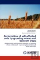 Reclamation Of Salt-Affected Soils By Growing Wheat And Berseem Crops