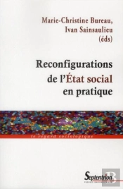 Reconfigurations De L''Etat Social En Pratique : Les Interactions Entre Acteurs Publics, Professionnels Et Militants Dans Le Champ De L''Intervention Sociale