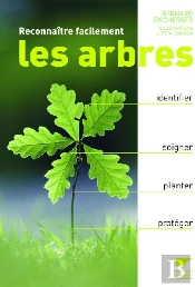 Reconnaître Facilement Les Arbres
