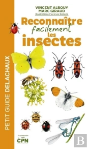 Reconnaître Facilement Les Insectes