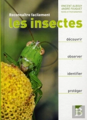 Reconnaître Facilement Les Insectes