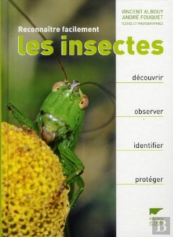Bertrand.pt - Reconnaître Facilement Les Insectes