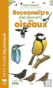 Reconnaître Facilement Les Oiseaux