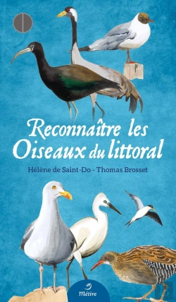 Bertrand.pt - Reconnaître Les Oiseaux Du Littoral