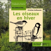Reconnaître Les Oiseaux En Hiver