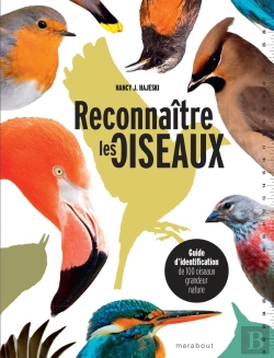Bertrand.pt - Reconnaître Les Oiseaux : Guide D'Identification De 100 Oiseaux Grandeur Nature