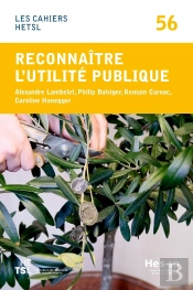 Reconnaître L'Utilité Publique. Parlementaires Et Personnel Des Administrations Fiscales Face À La Philanthropie En Suisse