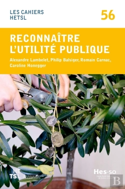 Bertrand.pt - Reconnaître L'Utilité Publique. Parlementaires Et Personnel Des Administrations Fiscales Face À La Philanthropie En Suisse