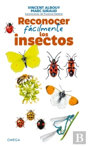 Reconocer Facilmente Los Insectos