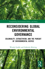 Reconsidering Global Environmental Governance