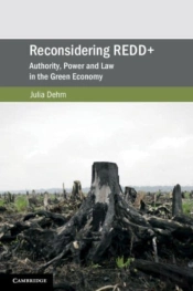 Reconsidering Redd+