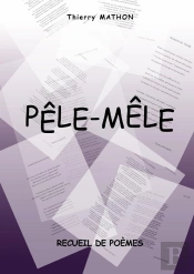 Recueil De Poemes