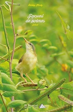 Bertrand.pt - Recueil De Poemes