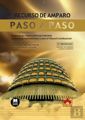 Recurso De Amparo. Paso A Paso 2023.