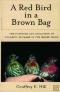 Bertrand.pt - Red Bird In A Brown Bag