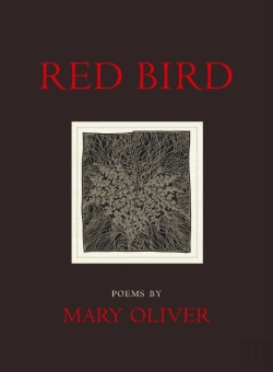 Bertrand.pt - Red Bird