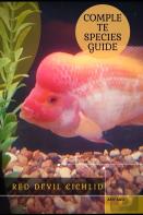 Red Devil Cichlid